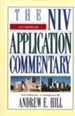 1 & 2 Chronicles, NIV Application Commentary - Slightly Imperfect