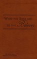 What the Bible Says to the Believer - Imitation Leather, Brown