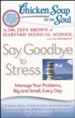 Chicken Soup for the Soul: Say Goodbye to Stress: Manage Your Problems, Big and Small, Every Day