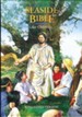 KJV Seaside Bible, Hardcover