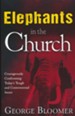 Elephants In The Church: Courageously Confronting Today's Tough and Controversial Issues