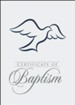Dove (Romans 6:3-4) Baptism Folded Certificate with  Envelopes (pkg. of 6)