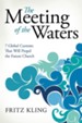 The Meeting of the Waters - eBook