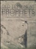 The Preacher's Outline & Sermon Bible Supplement: Old Testament Prophets