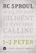 1-2 Peter: St. Andrews Expositional Commentary-eBook