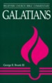 Galatians: Believers Church Bible Commentary