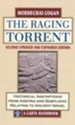 The Raging Torrent, Second Updated and Expanded Edition