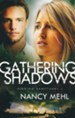 Gathering Shadows, Finding Sanctuary Series #1