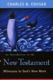 An Introduction to the New Testament: Witnesses to  God's New Work - Slightly Imperfect