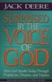 Surprised by the Voice of God, Softcover