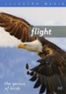 Flight: The Genius of Birds, DVD