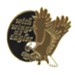 With Wings as Eagles Lapel Pin