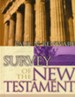 Survey of the New Testament [Hardcover]