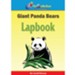 Giant Panda Lapbook - PDF Download [Download]