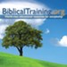New Testament: A Biblical Training Class (on MP3 CD)