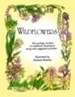 WILDFLOWERS PICTURE COLLECTION Gr. 2-8 - PDF Download [Download]