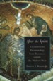 After the Spirit: A Constructive Pneumatology from Resources Outside the Modern West
