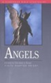 Angels Fisherman Bible Studies