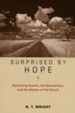 Surprised by Hope, Participant's Guide - Slightly Imperfect