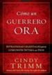 C&oacute;mo un Guerrero Ora  (The Prayer Warrior's Way)