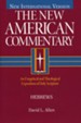Hebrews: New American Commentary [NAC]