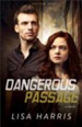 Dangerous Passage, Southern Crimes Series -eBook