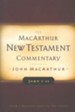 John 1-11: The MacArthur New Testament Commentary