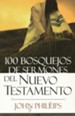 100 Bosquejos de Sermones del Nuevo Testamento  (100 New Testament Sermon Outlines)