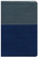 NKJV Evangelism Study Bible - Imitation Leather Gray/Blue