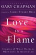 Love Is A Flame: Stories of What Happens When Love Is Rekindled - eBook