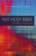 NIV Outreach Bible, Student Edition--softcover, red/blue graphic