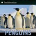 Smithsonian Series: Penguins