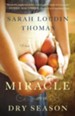 Miracle in a Dry Season - eBook