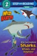 Wild Sea Creatures: Sharks, Whales and Dolphis! (Wild Kratts)