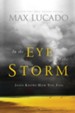 In the Eye of the Storm: A Day in the Life of Jesus - eBook