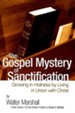 The Gospel Mystery of Sanctification: Growing in Holiness by Living in Union with Christ