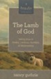 The Lamb of God: Seeing Jesus in Exodus, Leviticus, Numbers, and Deuteronomy