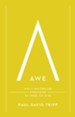 Awe: Why It Matters for Everything We Think, Say & Do