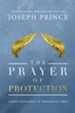 The Prayer of Protection: Living Fearlessly in   Dangerous Times