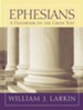 Ephesians: A Handbook on the Greek Text