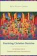 Practicing Christian Doctrine: An Introduction to Thinking and Living Theologically - eBook