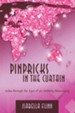 Pinpricks in the Curtain: India Through the Eyes of an Unlikely Missionary - eBook