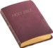 NABRE Catholic Companion Bible, Burgundy Imitation Leather