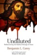 Undiluted: Rediscovering the Radical Message of Jesus - eBook