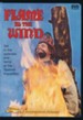 Flame in the Wind DVD