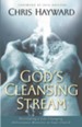 God's Cleansing Stream: Developing a Life-Changing Deliverance Ministry in Your Church - eBook