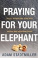 Praying for Your Elephant: Boldly Approaching Jesus with Radical and Audacious Prayer - eBook