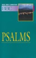 Psalms: Basic Bible Commentary, Volume 10