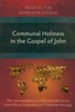 Communal Holiness in the Gospel of John: The Vine Metaphor as a Test Case with Lessons from African Hospitality and Trinitarian Theology