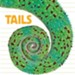 Whose Is It?: Tails Boardbook